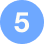 Badge5
